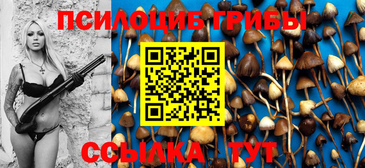 ГАШ Кохма