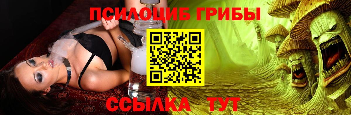 Галлюциногенные грибы MAGIC MUSHROOMS  Вход с VPN  Кохма  Галлюциногенные грибы прущие грибы 